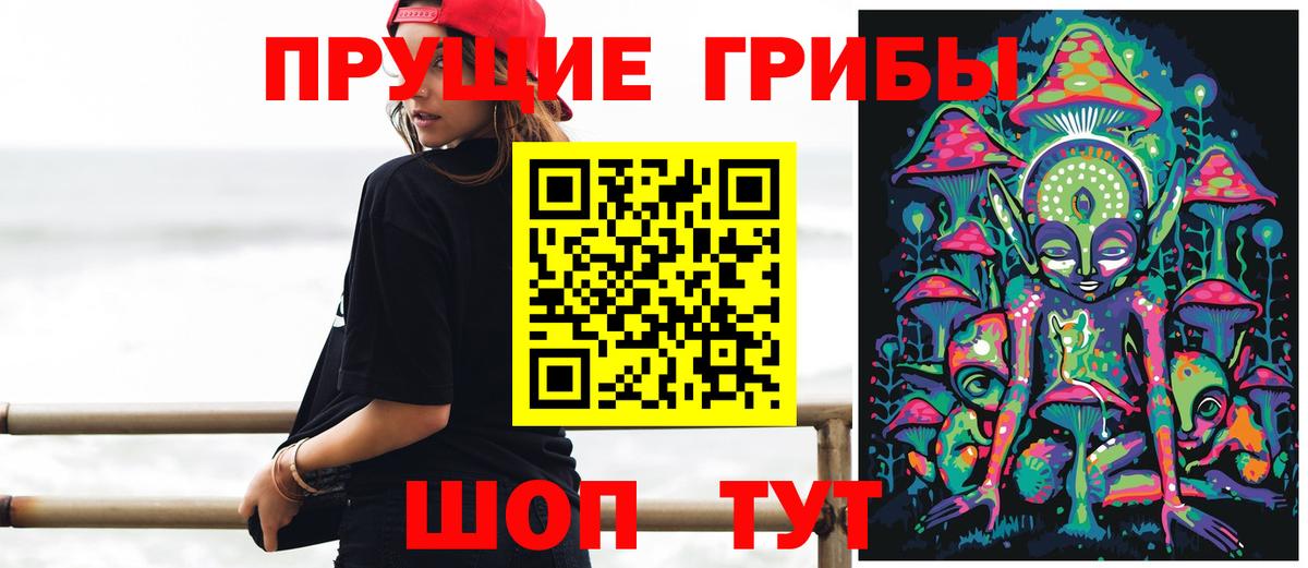 Псилоцибиновые грибы Psilocybine cubensis  Вход с VPN  Владимир 